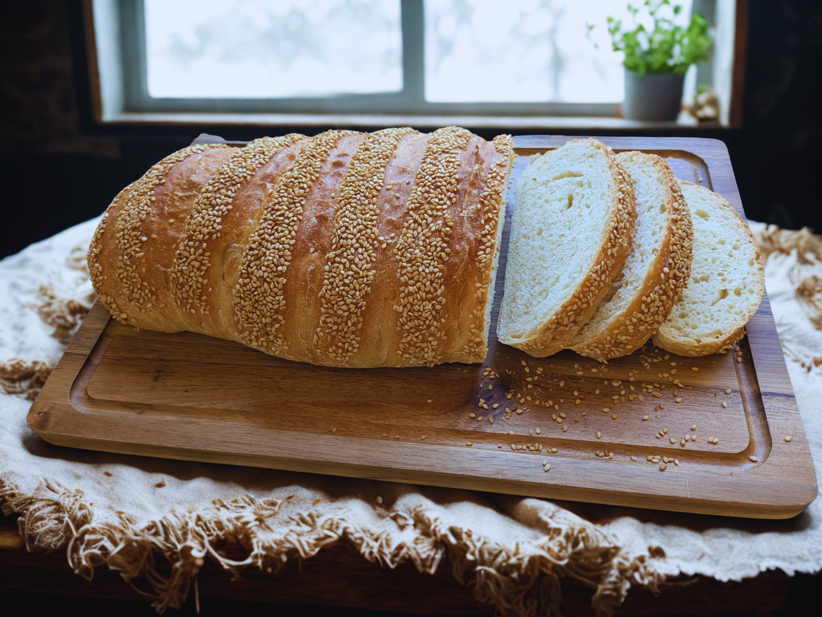 Sesame Country Bloomer